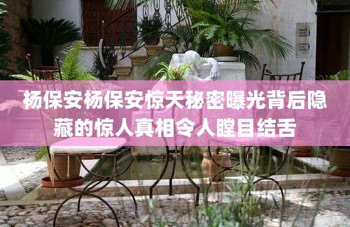 杨保安杨保安惊天秘密曝光背后隐藏的惊人真相令人瞠目结舌
