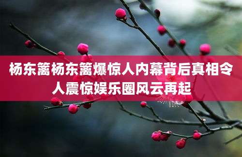 杨东篱杨东篱爆惊人内幕背后真相令人震惊娱乐圈风云再起