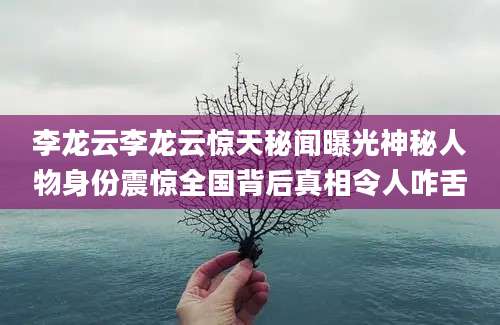 李龙云李龙云惊天秘闻曝光神秘人物身份震惊全国背后真相令人咋舌
