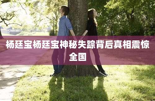 杨廷宝杨廷宝神秘失踪背后真相震惊全国