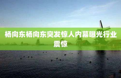 杨向东杨向东突发惊人内幕曝光行业震惊