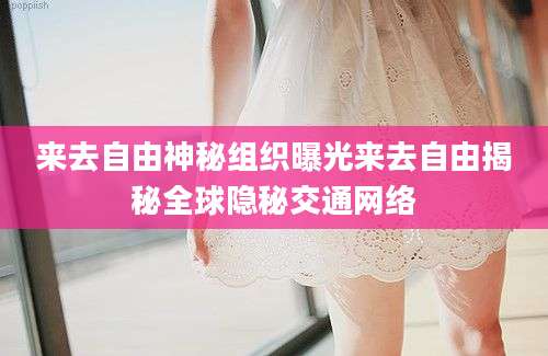 来去自由神秘组织曝光来去自由揭秘全球隐秘交通网络