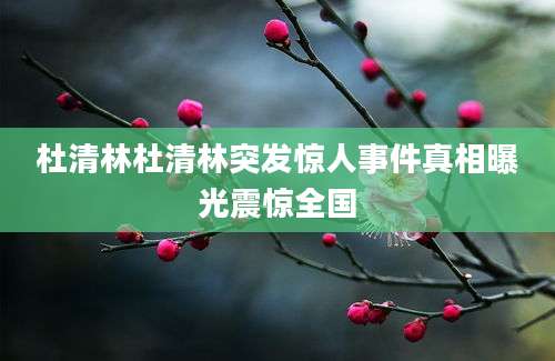 杜清林杜清林突发惊人事件真相曝光震惊全国