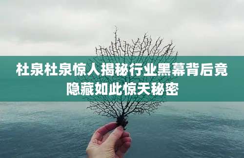 杜泉杜泉惊人揭秘行业黑幕背后竟隐藏如此惊天秘密