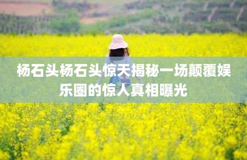 杨石头杨石头惊天揭秘一场颠覆娱乐圈的惊人真相曝光