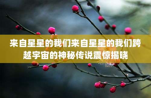 来自星星的我们来自星星的我们跨越宇宙的神秘传说震惊揭晓