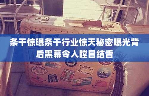 条干惊曝条干行业惊天秘密曝光背后黑幕令人瞠目结舌