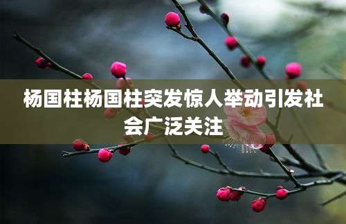 杨国柱杨国柱突发惊人举动引发社会广泛关注