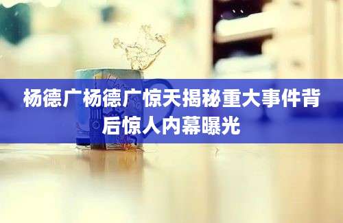 杨德广杨德广惊天揭秘重大事件背后惊人内幕曝光