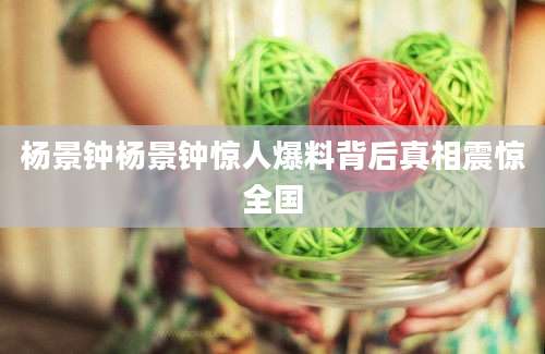 杨景钟杨景钟惊人爆料背后真相震惊全国