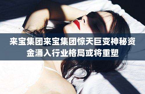 来宝集团来宝集团惊天巨变神秘资金涌入行业格局或将重塑