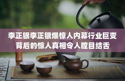 李正银李正银爆惊人内幕行业巨变背后的惊人真相令人瞠目结舌