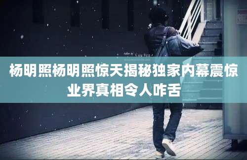 杨明照杨明照惊天揭秘独家内幕震惊业界真相令人咋舌