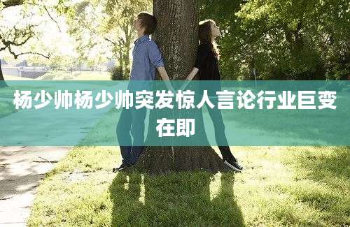 杨少帅杨少帅突发惊人言论行业巨变在即