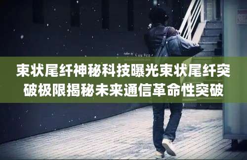 束状尾纤神秘科技曝光束状尾纤突破极限揭秘未来通信革命性突破