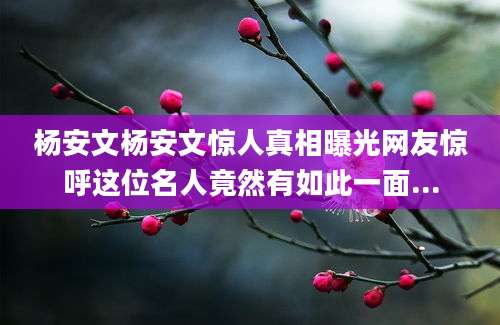 杨安文杨安文惊人真相曝光网友惊呼这位名人竟然有如此一面...