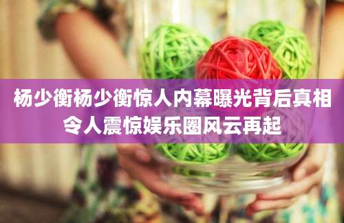 杨少衡杨少衡惊人内幕曝光背后真相令人震惊娱乐圈风云再起