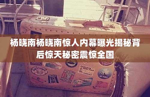 杨晓南杨晓南惊人内幕曝光揭秘背后惊天秘密震惊全国