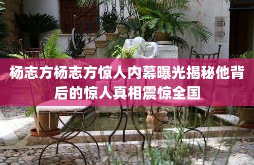 杨志方杨志方惊人内幕曝光揭秘他背后的惊人真相震惊全国
