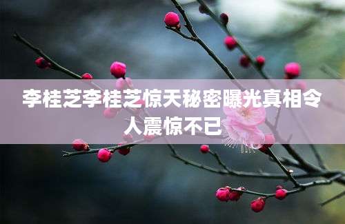 李桂芝李桂芝惊天秘密曝光真相令人震惊不已