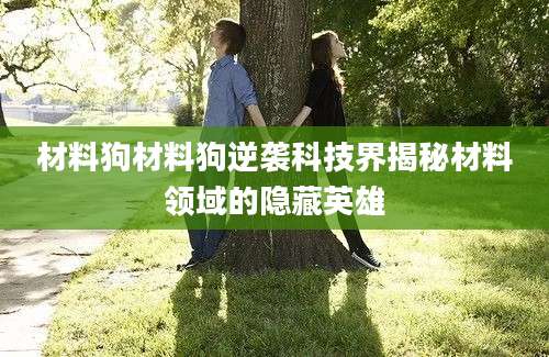 材料狗材料狗逆袭科技界揭秘材料领域的隐藏英雄