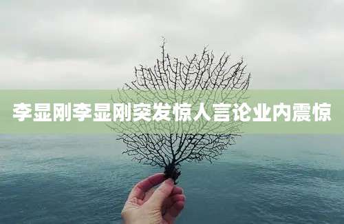 李显刚李显刚突发惊人言论业内震惊