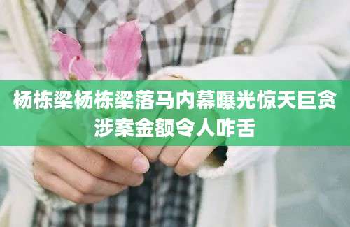 杨栋梁杨栋梁落马内幕曝光惊天巨贪涉案金额令人咋舌