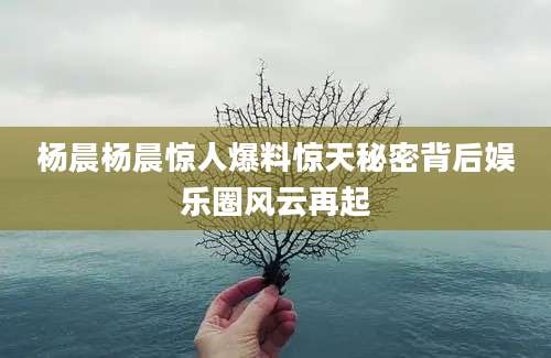 杨晨杨晨惊人爆料惊天秘密背后娱乐圈风云再起