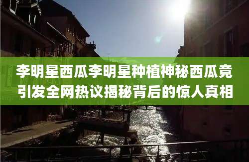 李明星西瓜李明星种植神秘西瓜竟引发全网热议揭秘背后的惊人真相