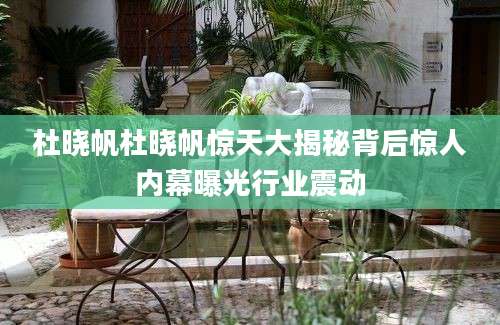 杜晓帆杜晓帆惊天大揭秘背后惊人内幕曝光行业震动