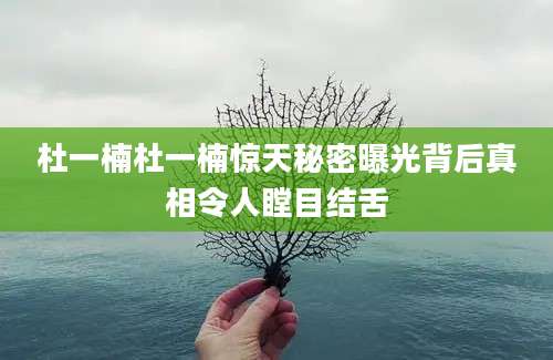 杜一楠杜一楠惊天秘密曝光背后真相令人瞠目结舌