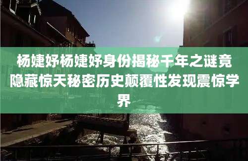 杨婕妤杨婕妤身份揭秘千年之谜竟隐藏惊天秘密历史颠覆性发现震惊学界