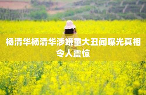杨清华杨清华涉嫌重大丑闻曝光真相令人震惊