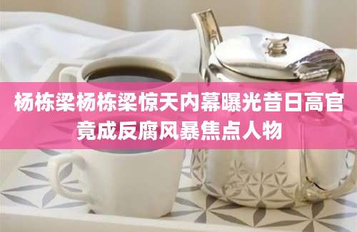 杨栋梁杨栋梁惊天内幕曝光昔日高官竟成反腐风暴焦点人物