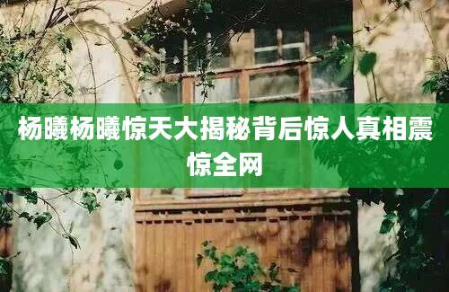杨曦杨曦惊天大揭秘背后惊人真相震惊全网
