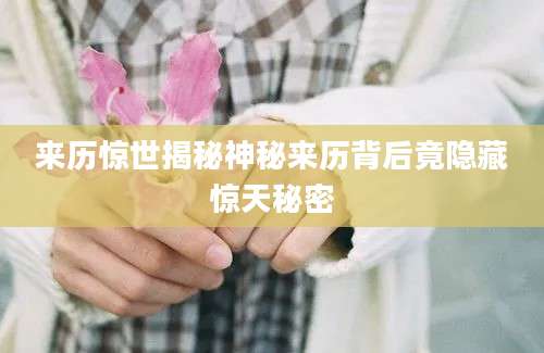 来历惊世揭秘神秘来历背后竟隐藏惊天秘密