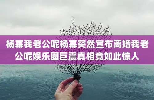 杨幂我老公呢杨幂突然宣布离婚我老公呢娱乐圈巨震真相竟如此惊人