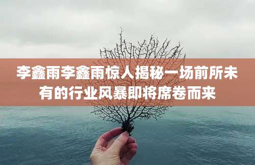 李鑫雨李鑫雨惊人揭秘一场前所未有的行业风暴即将席卷而来
