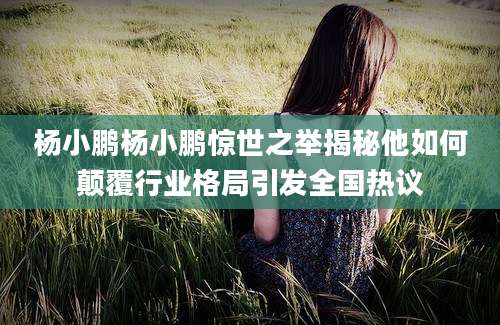 杨小鹏杨小鹏惊世之举揭秘他如何颠覆行业格局引发全国热议