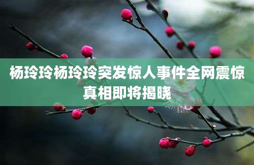 杨玲玲杨玲玲突发惊人事件全网震惊真相即将揭晓