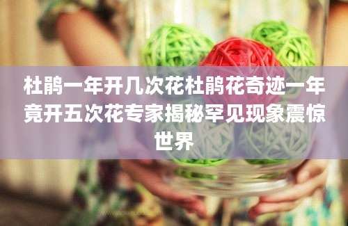 杜鹃一年开几次花杜鹃花奇迹一年竟开五次花专家揭秘罕见现象震惊世界