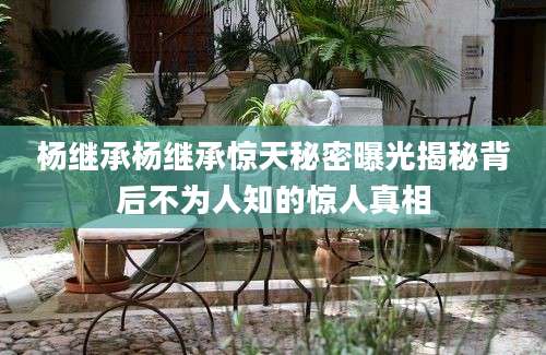 杨继承杨继承惊天秘密曝光揭秘背后不为人知的惊人真相