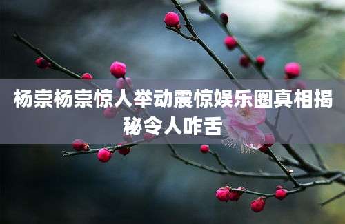 杨崇杨崇惊人举动震惊娱乐圈真相揭秘令人咋舌
