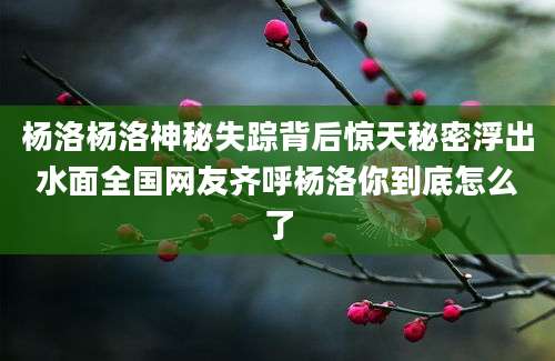 杨洛杨洛神秘失踪背后惊天秘密浮出水面全国网友齐呼杨洛你到底怎么了