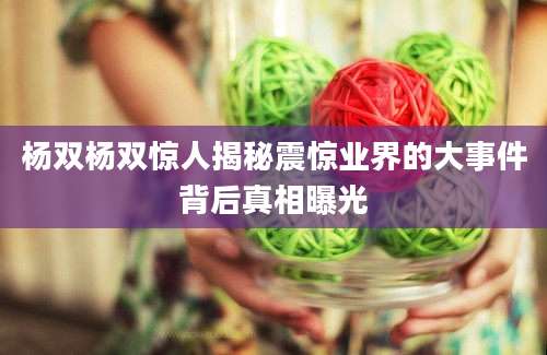 杨双杨双惊人揭秘震惊业界的大事件背后真相曝光