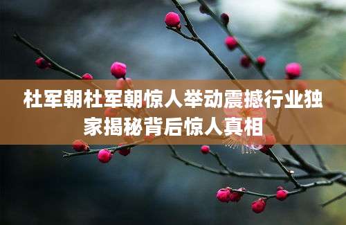 杜军朝杜军朝惊人举动震撼行业独家揭秘背后惊人真相