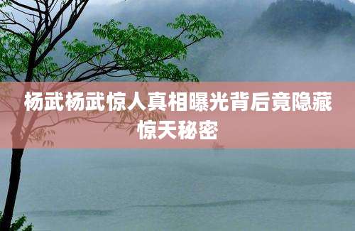 杨武杨武惊人真相曝光背后竟隐藏惊天秘密