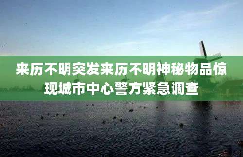 来历不明突发来历不明神秘物品惊现城市中心警方紧急调查