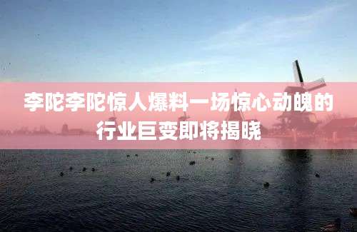 李陀李陀惊人爆料一场惊心动魄的行业巨变即将揭晓