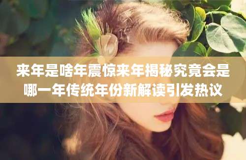 来年是啥年震惊来年揭秘究竟会是哪一年传统年份新解读引发热议